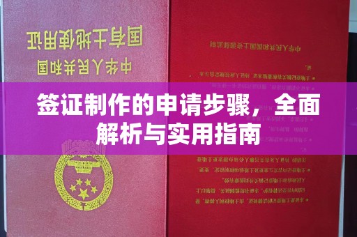 嘉兴签证制作的申请步骤，全面解析与实用指南