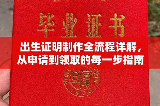 嘉兴出生证明制作全流程详解，从申请到领取的每一步指南