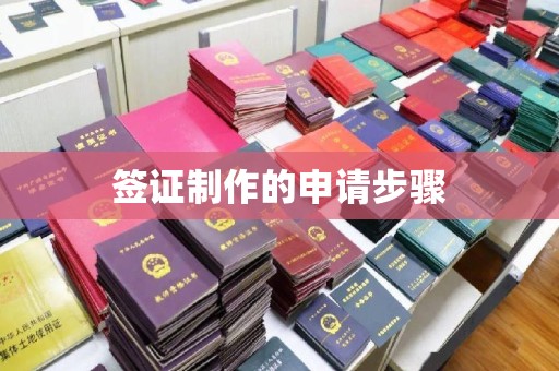 嘉兴签证制作的申请步骤