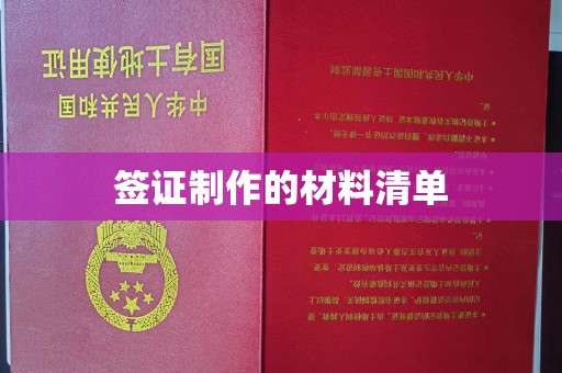 嘉兴签证制作的材料清单